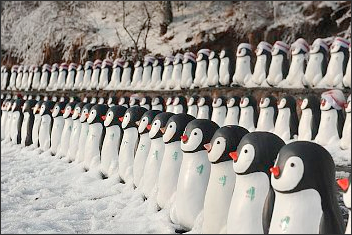 Google Penguins